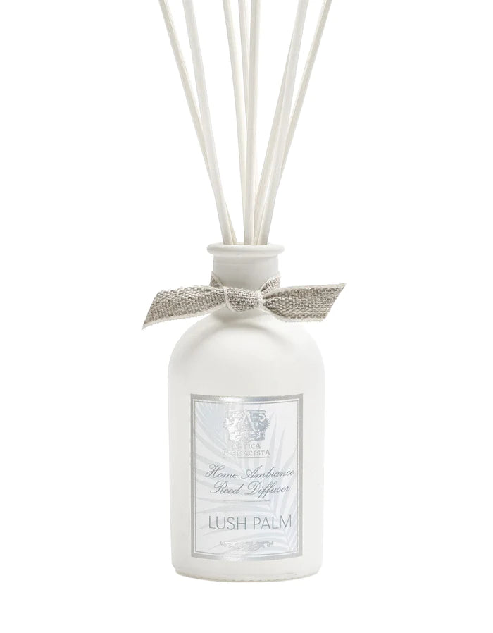 Lush Palm 100ml Diffuser