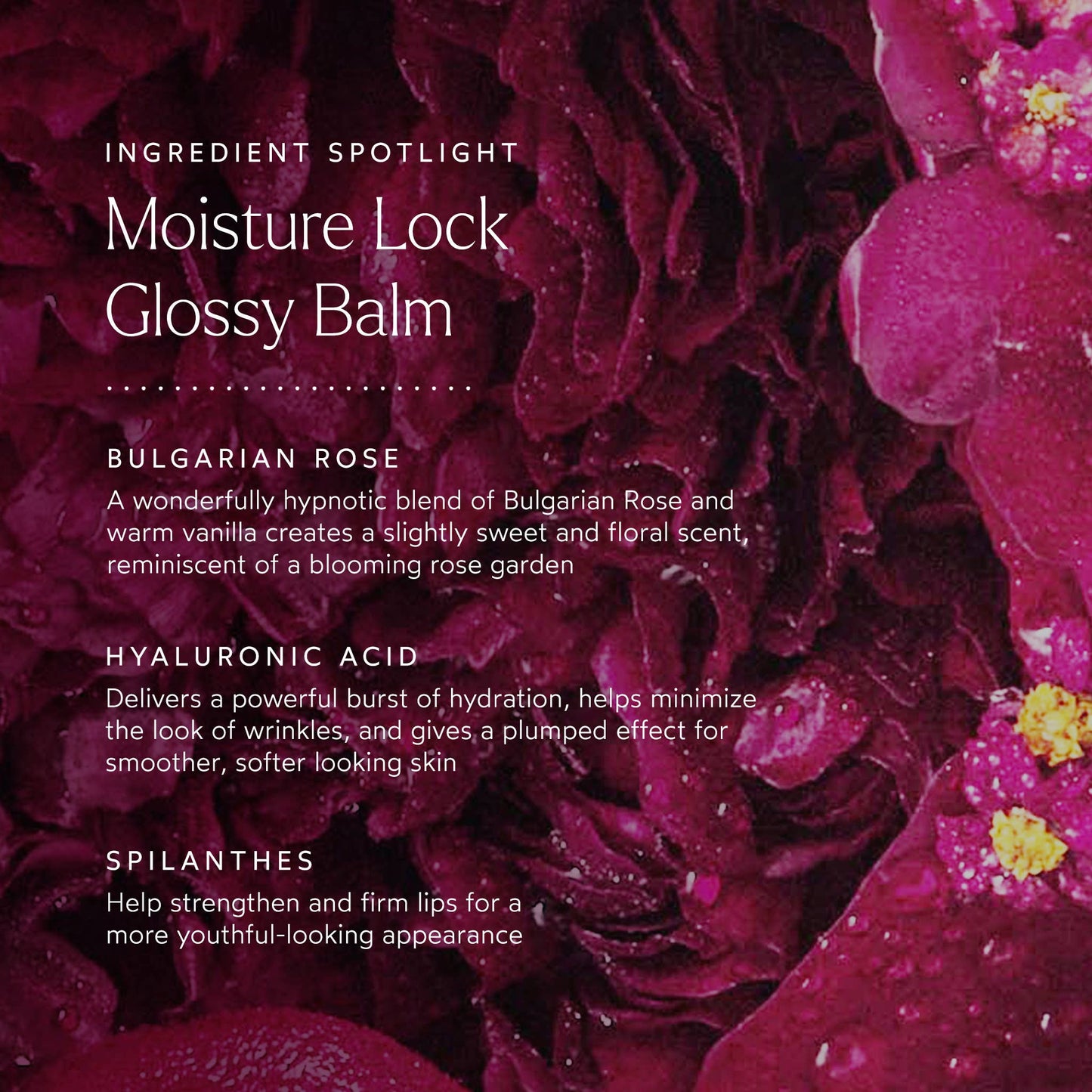 Moisture Lock Glossy Lip Balm - Bella Boutique