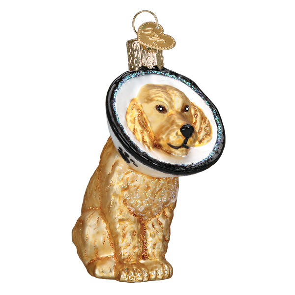 Old World Cone of Shame