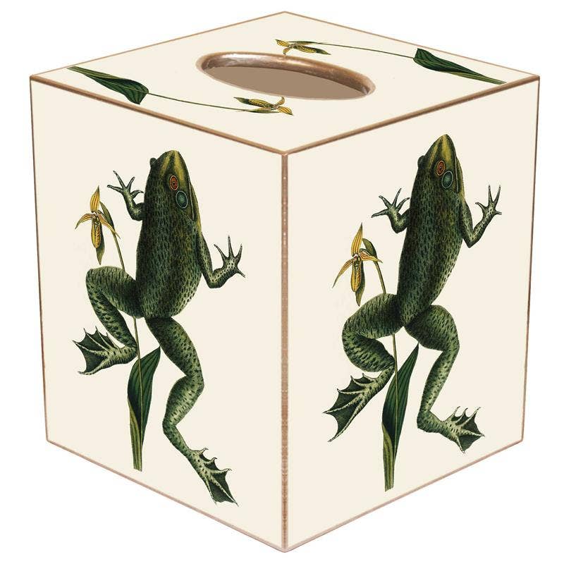 Frog Tissue Box Cover