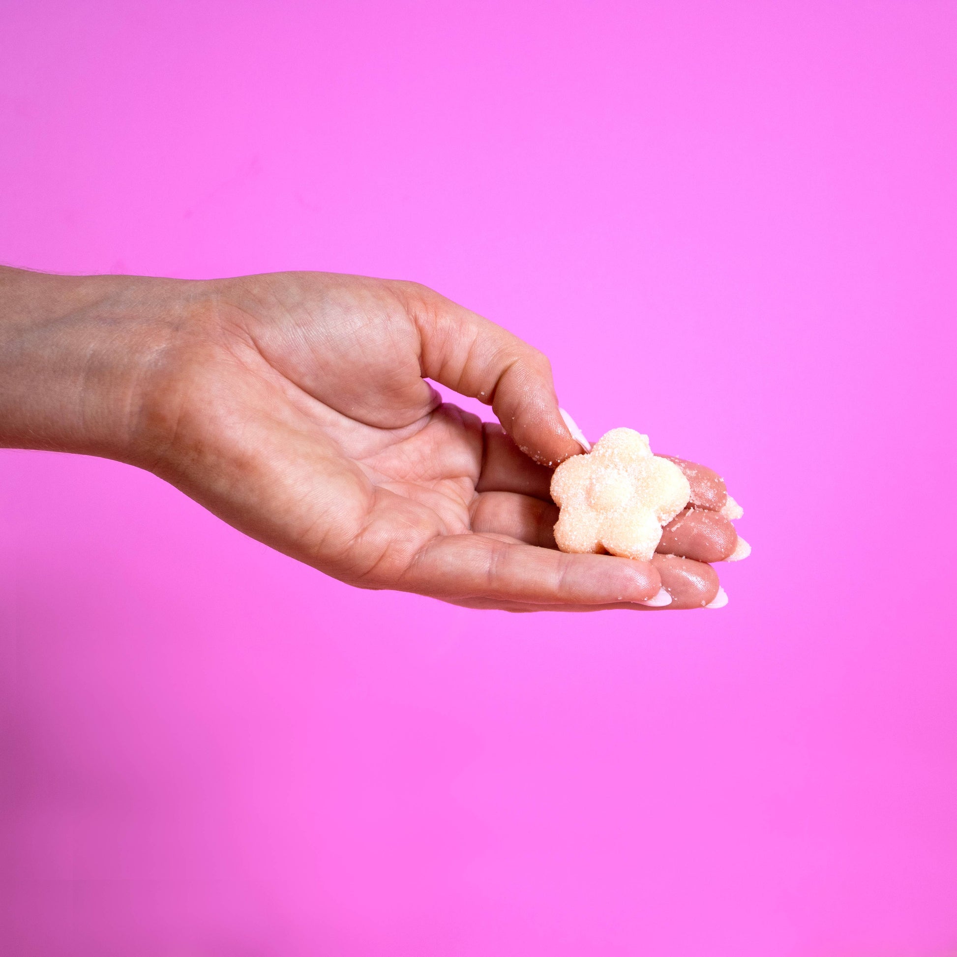 Day Exfoliating Sugar Scrubbies - Bella Boutique