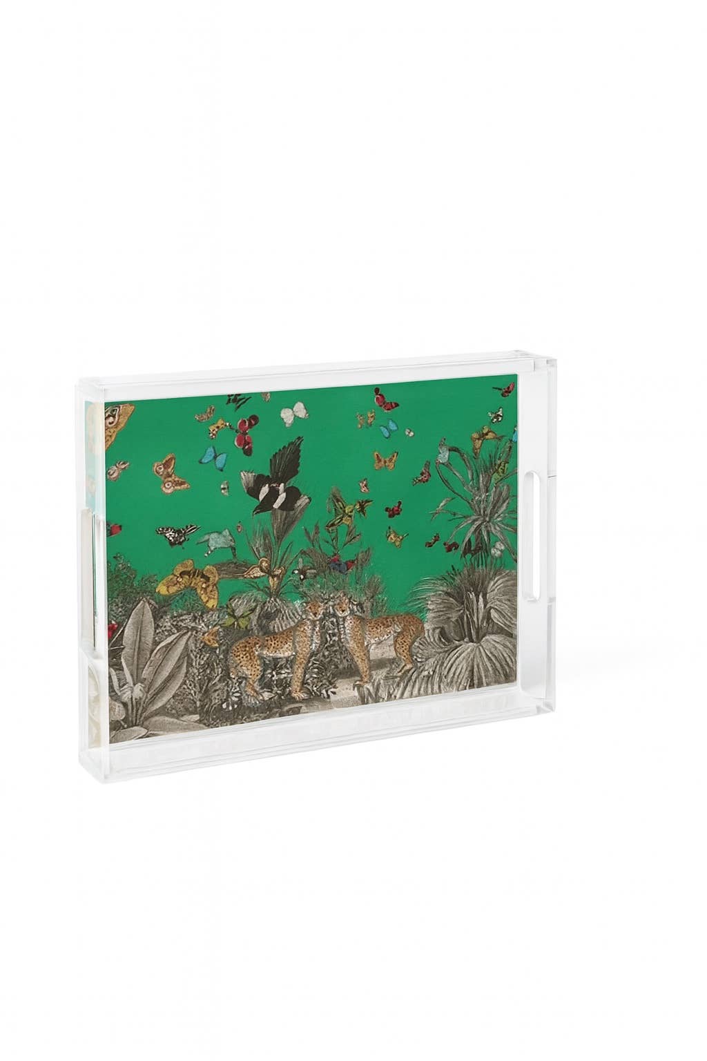 Acrylic Display Tray, Green Jungle Print - Bella Boutique