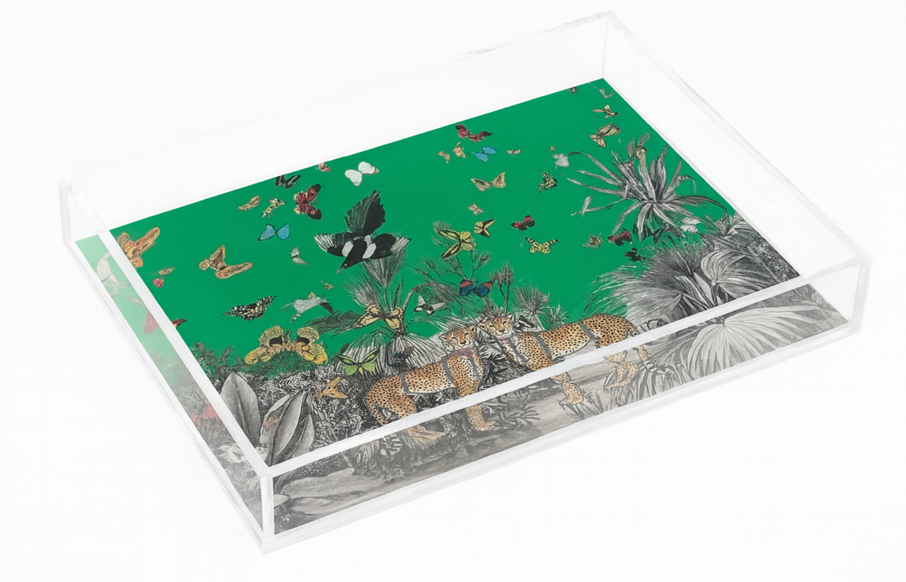 Acrylic Display Tray, Green Jungle Print - Bella Boutique